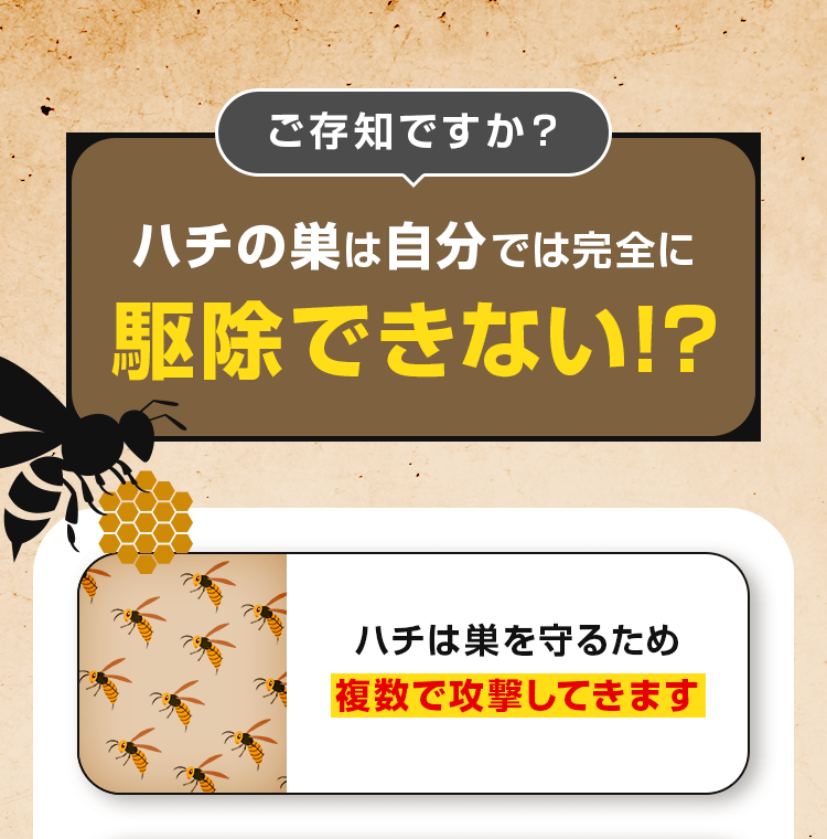 ハチの巣は自分では完全に駆除できない!?
