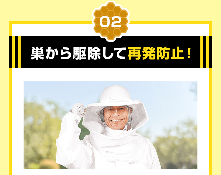 巣から駆除して再発防止!